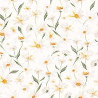 Wall mural natural motif botanical beauty Daisy Dreams decor.