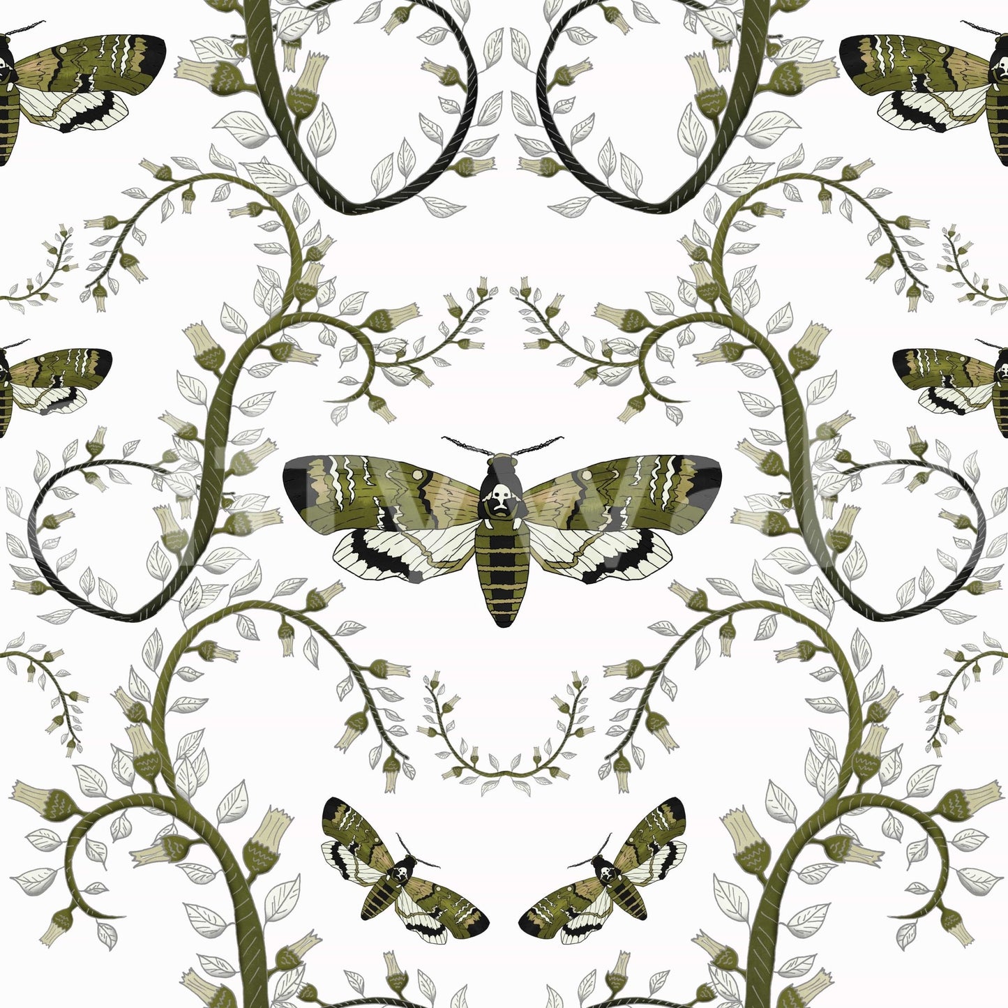 Each moth body shows fine wing markings on this Death's-Head Hawkmoth Wallpaper.
