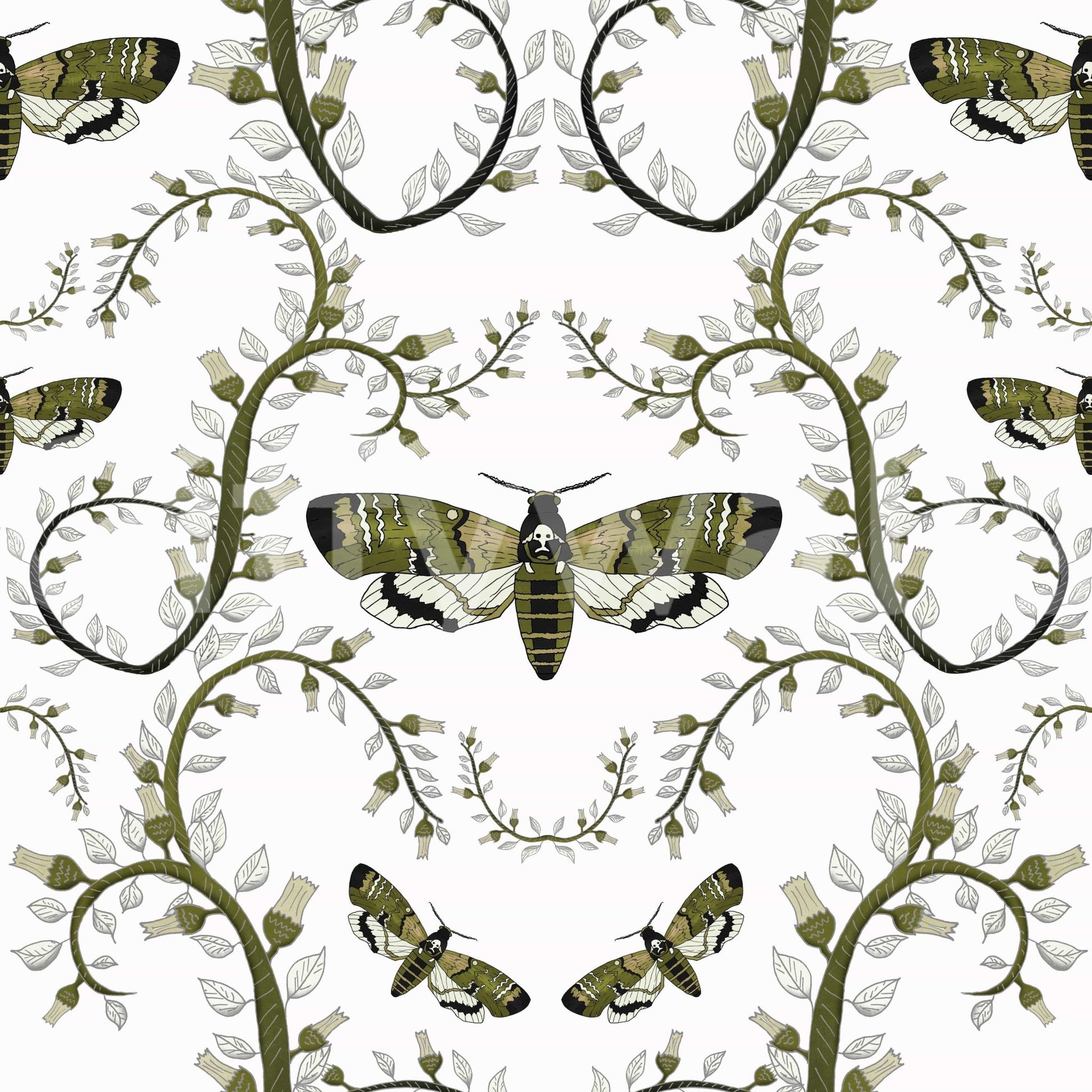 Each moth body shows fine wing markings on this Death's-Head Hawkmoth Wallpaper.