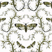 Each moth body shows fine wing markings on this Death's-Head Hawkmoth Wallpaper.