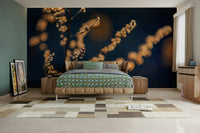 Delicate grass in soft sunlight
