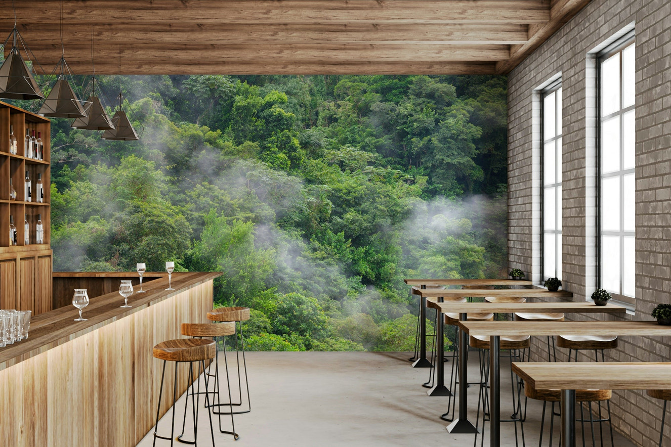 Dense forest mural wallpaper

