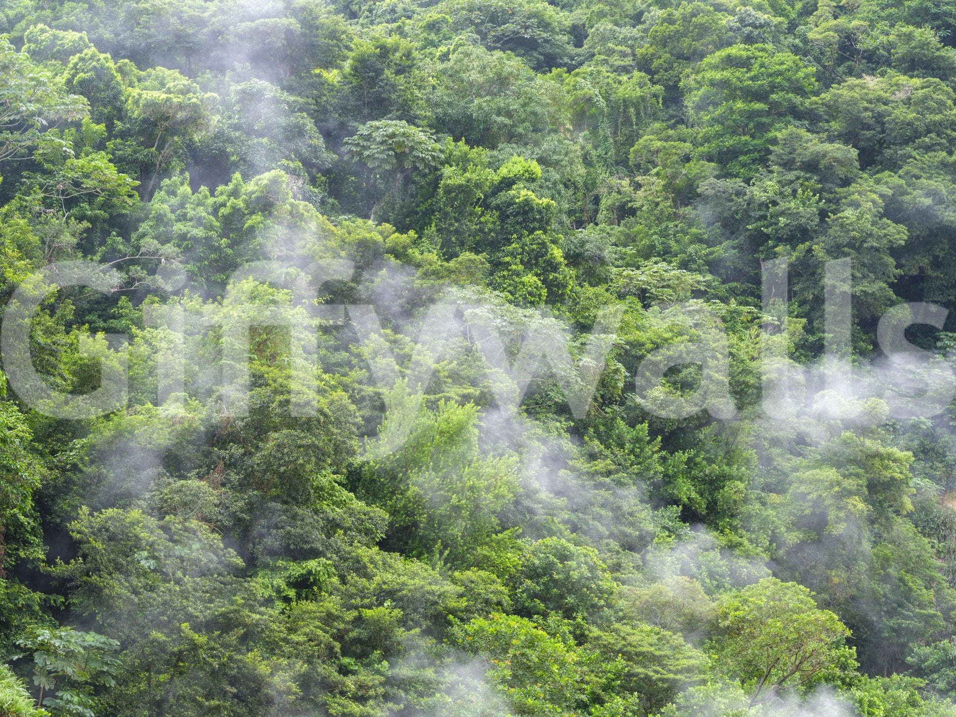 Tree landscape wall mural

