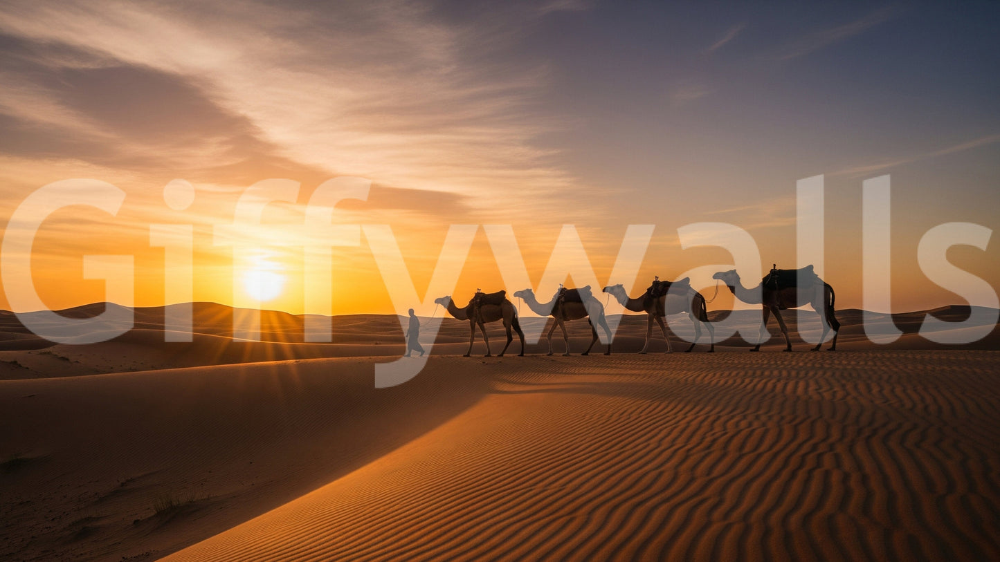 Desert caravan at sunset, peaceful and calm

