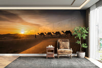 Mural wallpaper capturing soft evening light

