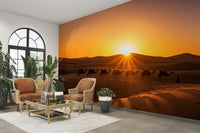 View of sand dunes and a caravan

