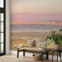 Light pink desert mural wallpaper

