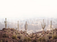 Beautiful desert vista mural perfect for creating a serene, peaceful room.

