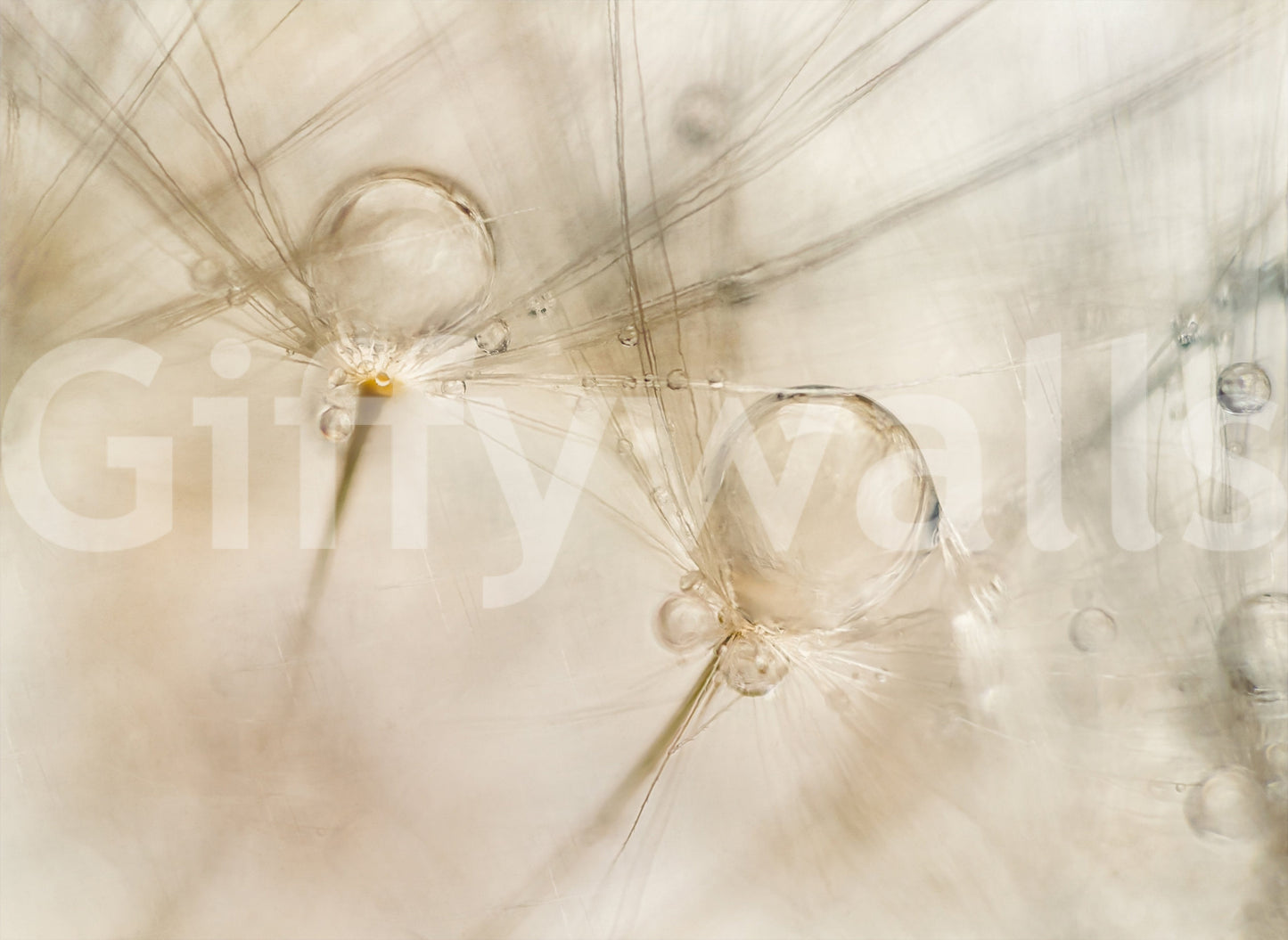 An artistic nature inspired mural for home decor.

