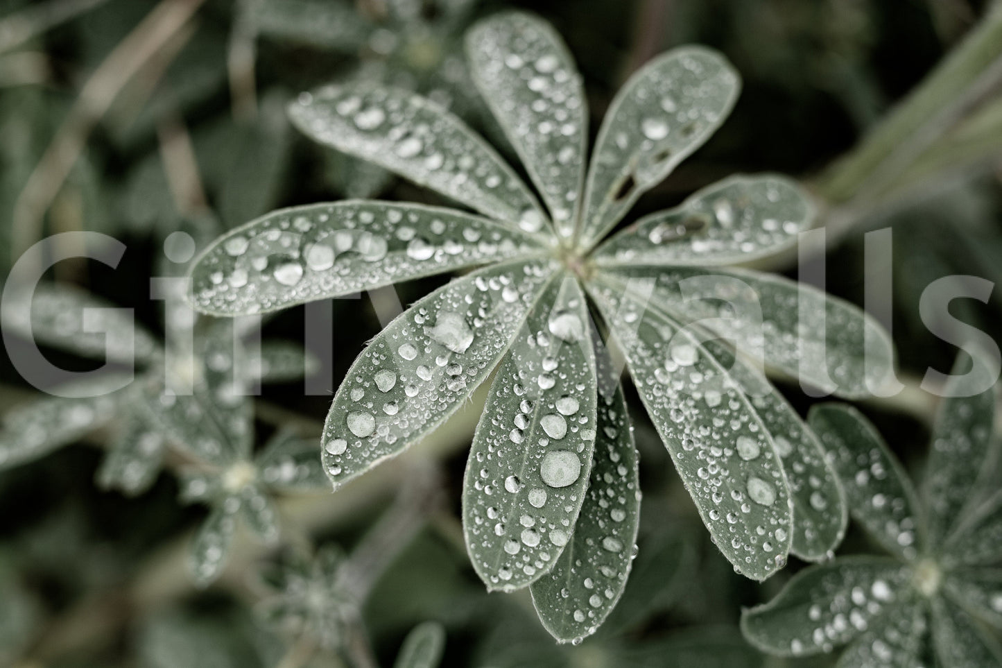 A detail of the warm tones in the flowers and greenery.