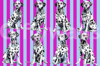Diamond Dalmata wallpaper mural showing spotted dalmatians in glasses and pearls on pink and blue stripes