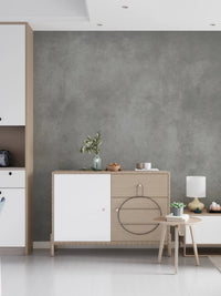 Dirty Paper - Greige Wall Mural