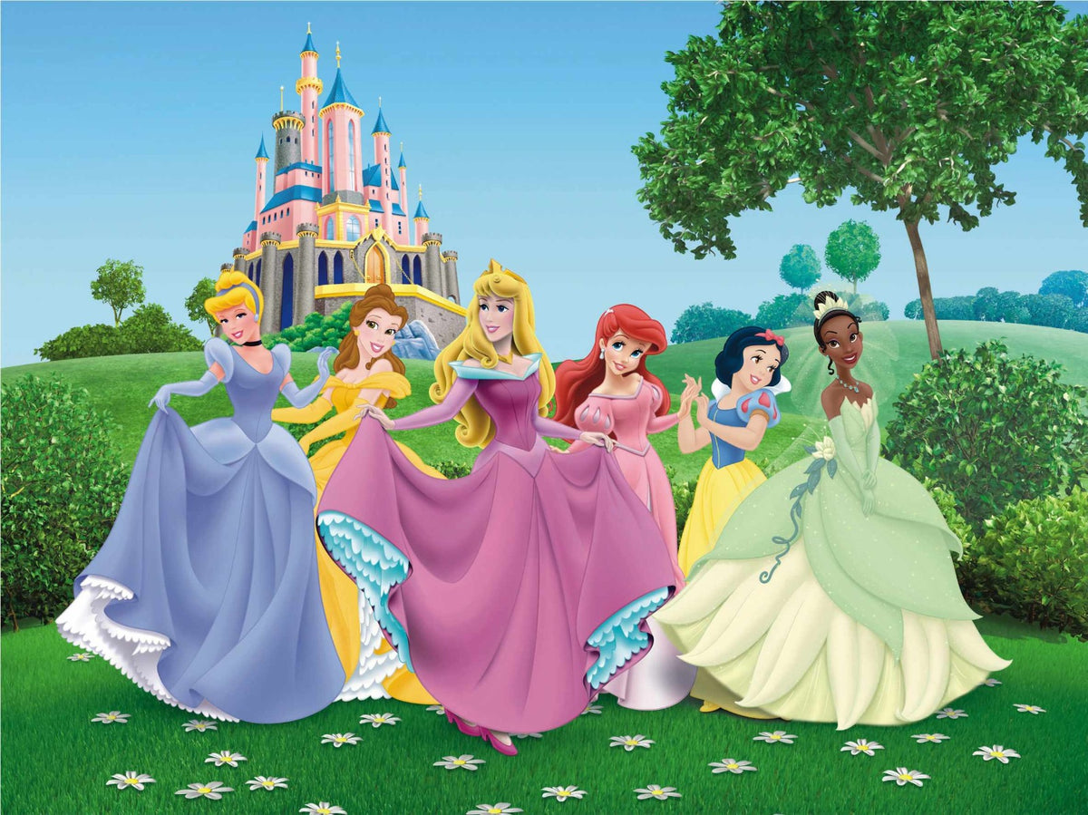 Disney Princesses Kids Room Wall Mural in your room — zoomed