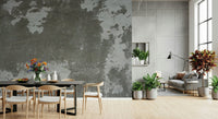 Distressed Concrete Wall Mural -2566584