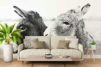 Nursery feature wall with illustrated donkey wall mural.