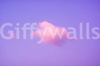 A detail of the warm tones in the sky.

