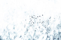 A high-quality serene plant wall mural for walls.

