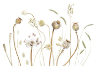 A calming serene field wallpaper mural that defines a space.

