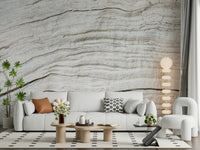 Natural tone wall finish with Driftwood Texture Wall Mural weathered detailing