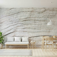 Calm interior backdrop using Driftwood Texture Wall Mural aged plank texture