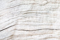 Light timber aesthetic created by Driftwood Texture Wall Mural soft grain flow