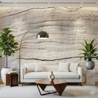 Neutral wood pattern wall in Driftwood Texture Wall Mural soft worn detailing