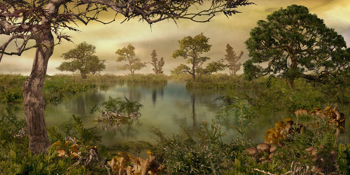 Landscape Forest Autumn Wallpaper Murals in your room — zoomed