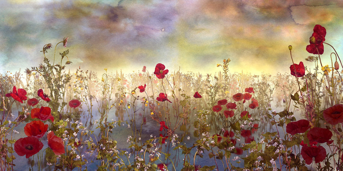Poppy Red Color Flower Wallpaper Murals in your room — zoomed