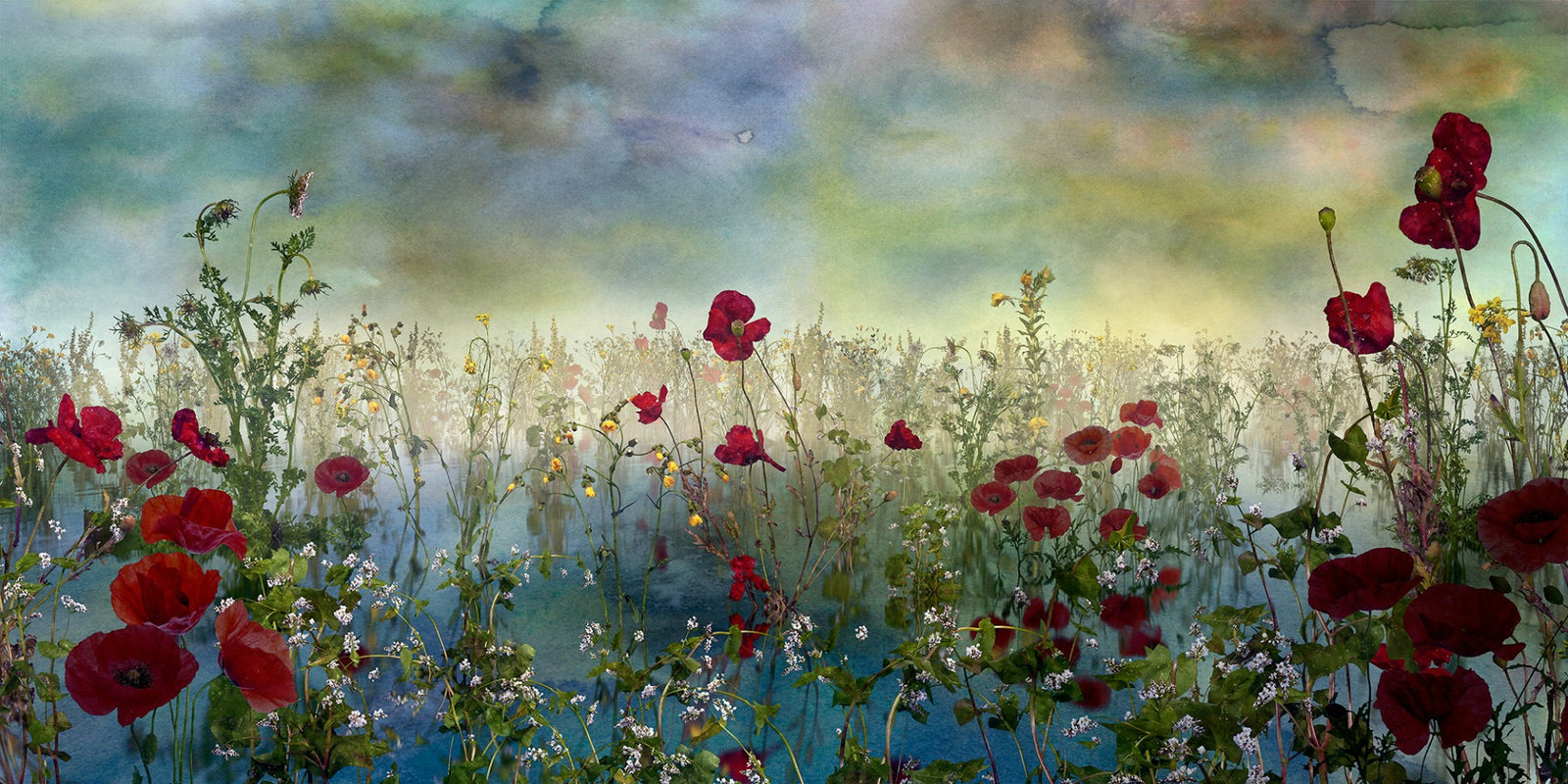 Azure Petal Panorama Poppy Blue Flower Wall Mural