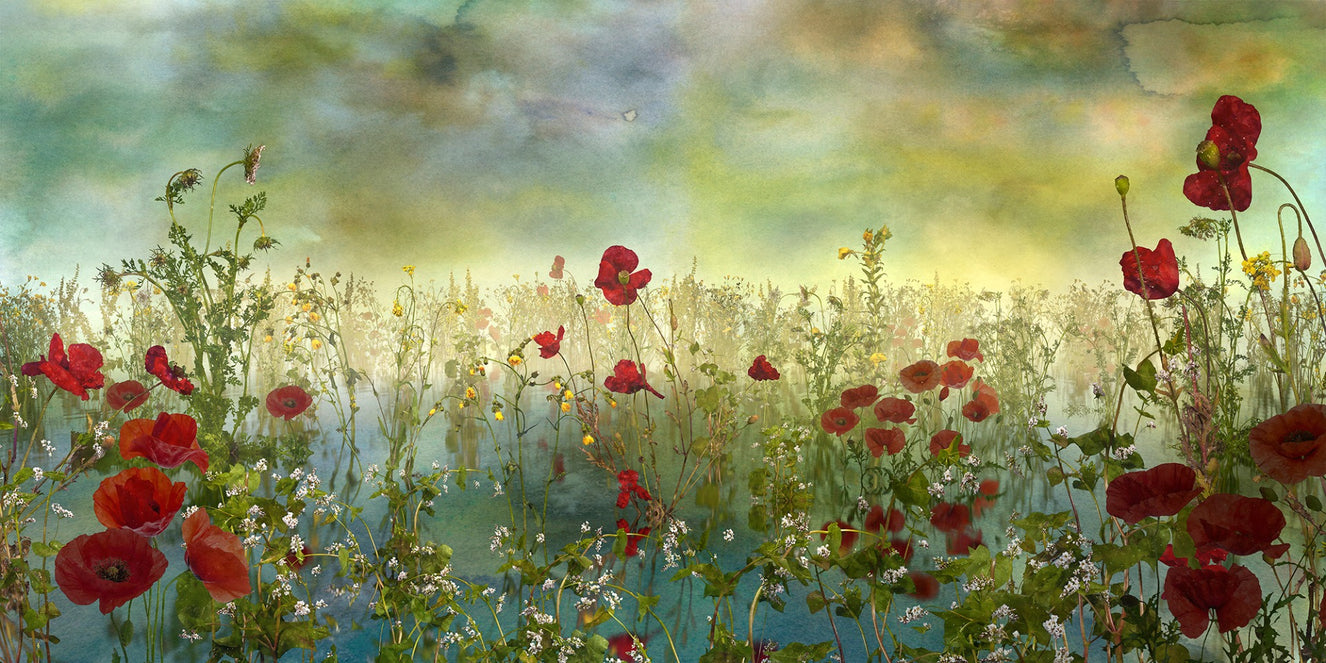 Poppy Flower Watercolor Green Wallpaper Murals