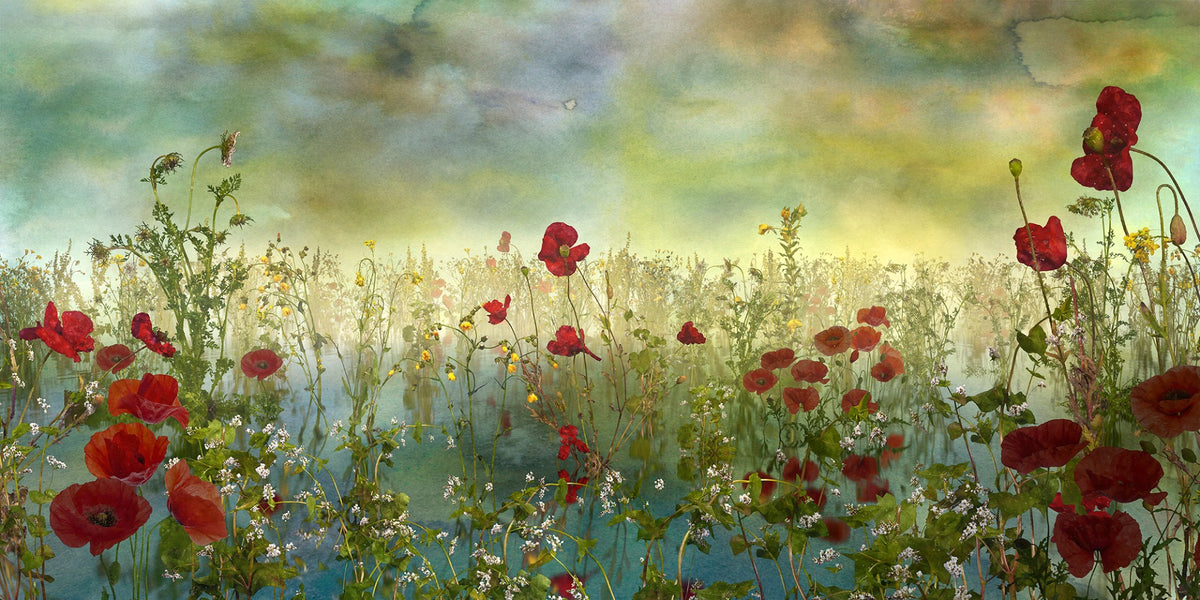 Poppy Flower Watercolor Green Wallpaper Murals in your room