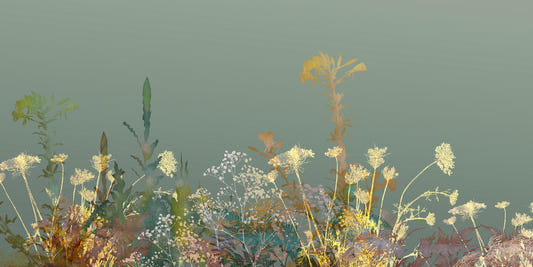 Wild Flower Design Art Wallpaper Murals