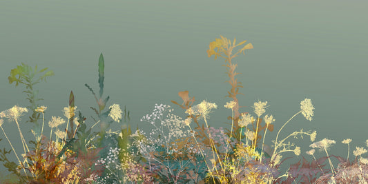 Wild Flower Design Art Wallpaper Murals