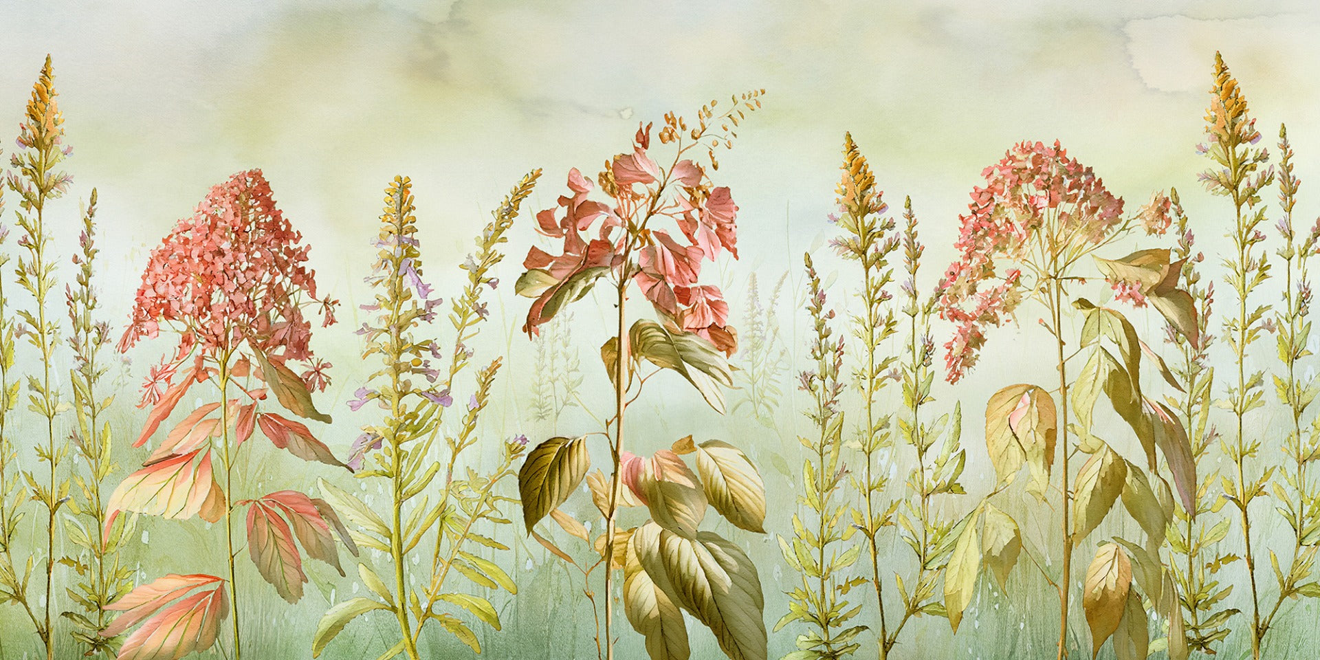 Wild Flowers Meadows Wallpaper Murals