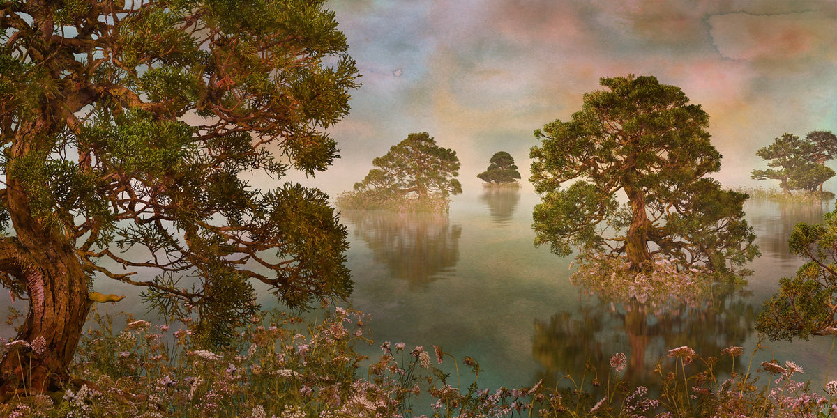 Watercolor Lake Sunset Forest Wallpaper Murals