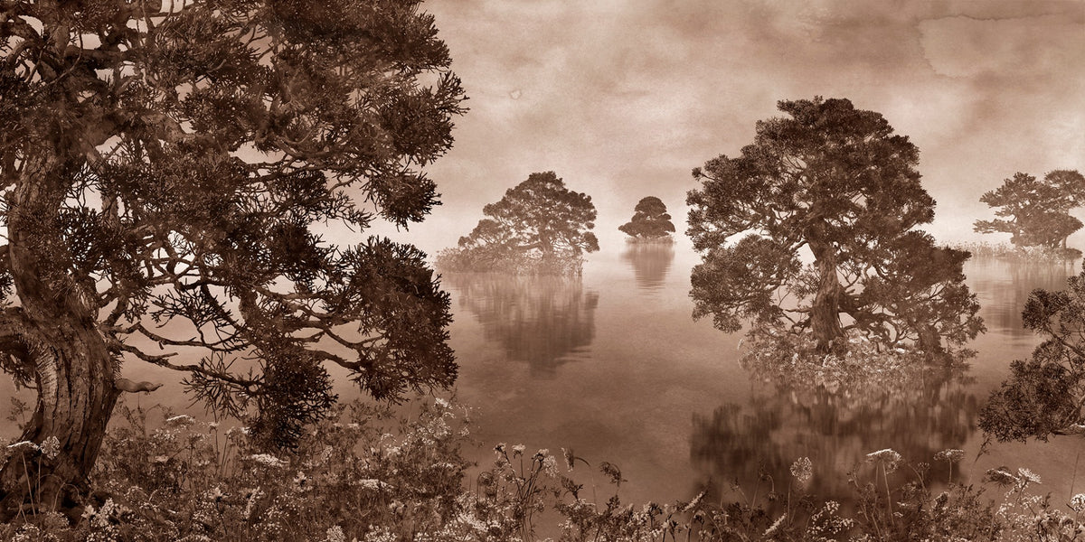 Watercolor Lake Monochrome Ink Sepia Wallpaper Murals in your room