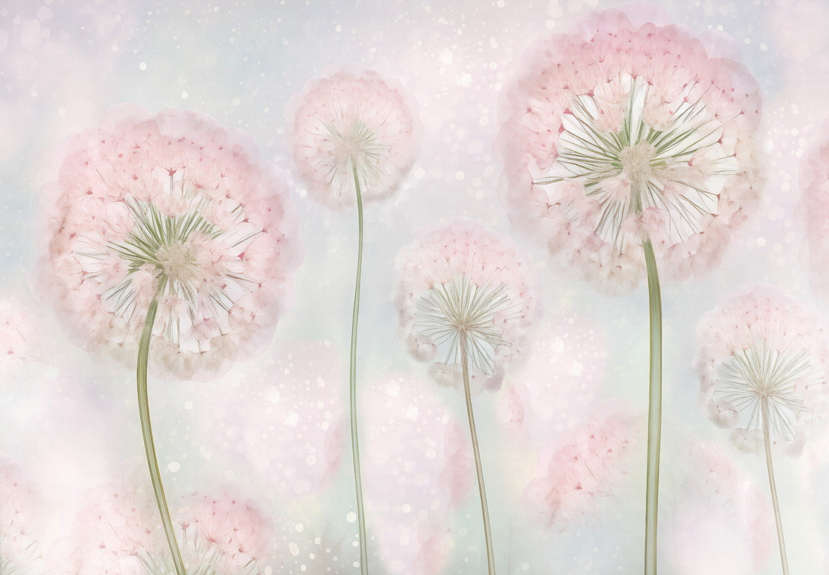 Pink Color Dandelion Seeds Wallpaper Murals in your room