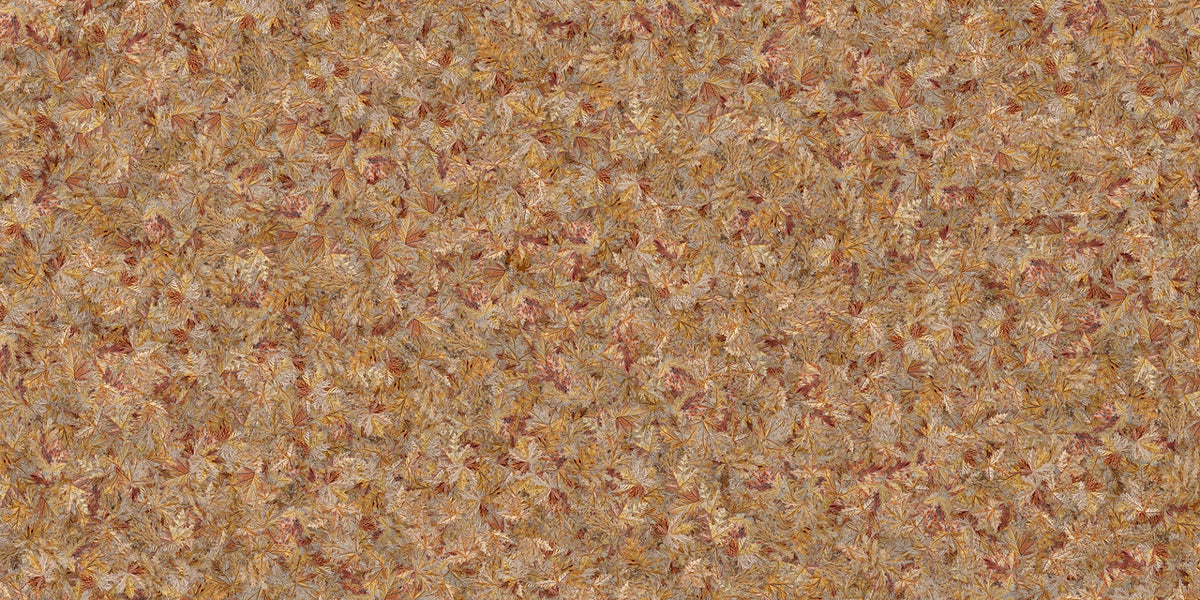 Taupe Brown Autumn Leaf Wallpaper Mural in your room — zoomed