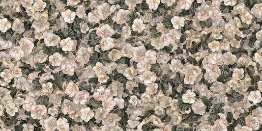 White Begonia Flower Wallpaper Murals