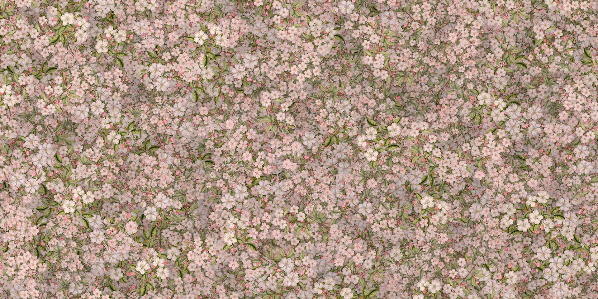 Pink and Green Cherry Blossom Flower Wallpaper Murals