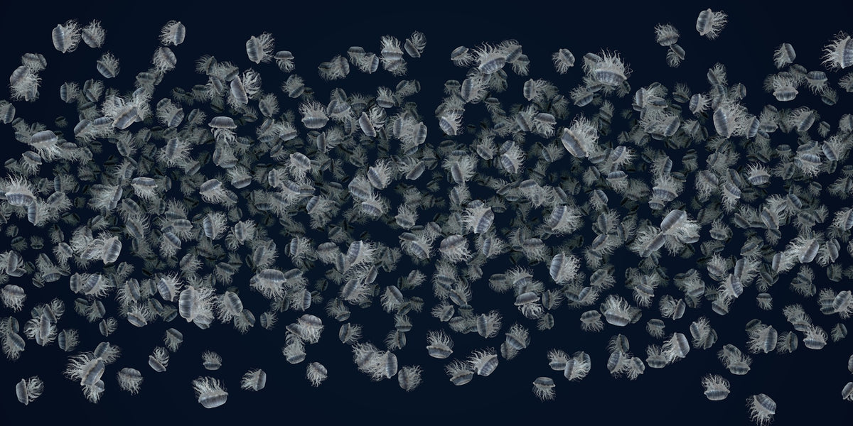 Dancing Jellyfish White on Dark Blue Wallpaper Murals in your room