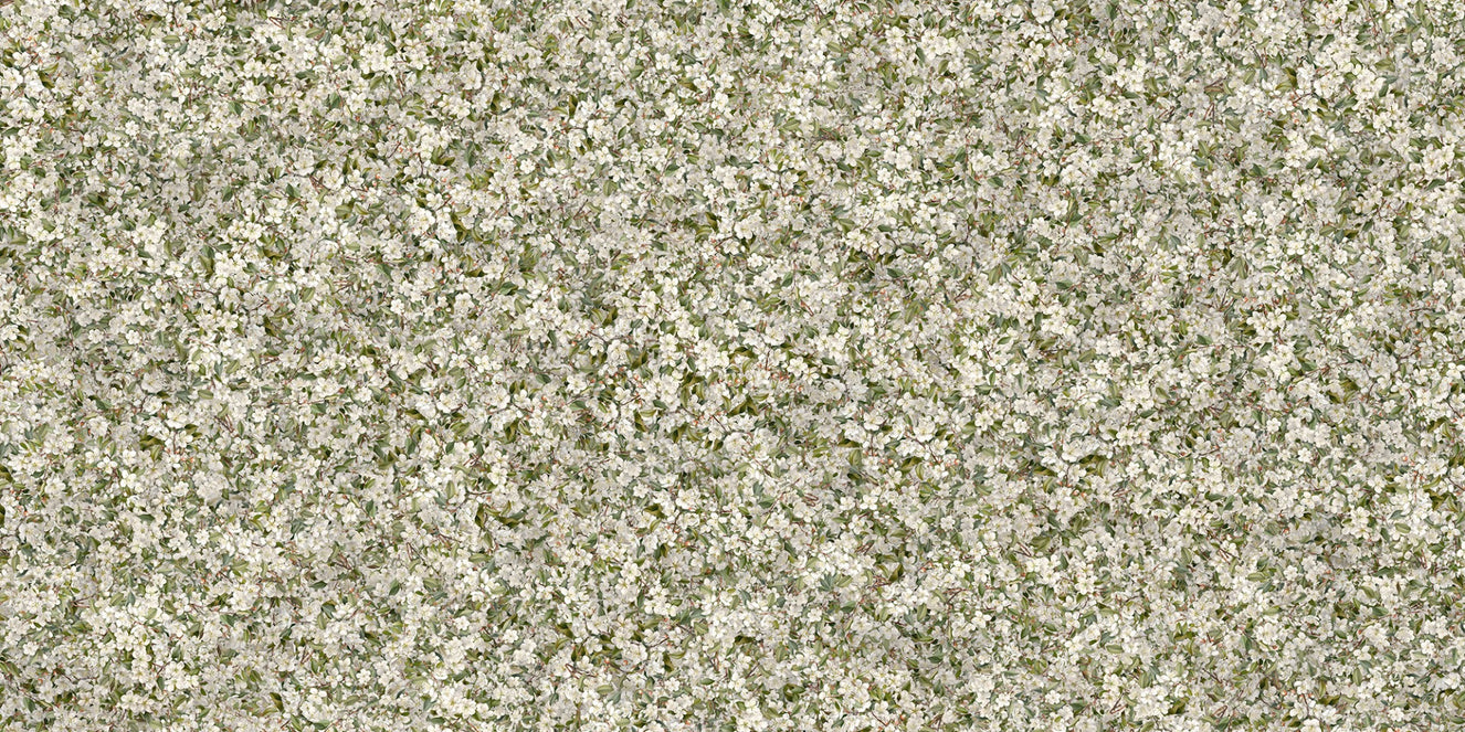 Pear Blossom White Flowers Wallpaper Murals