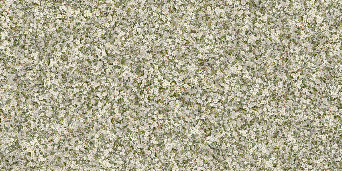 Pear Blossom White Flowers Wallpaper Murals in your room