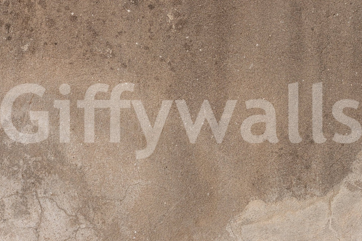 Earthy Canvas wallpaper mural close-up showing a sandy taupe and brown textured concrete pattern with fine speckles