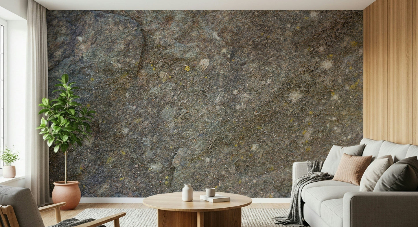 Textured Rock Surface Wall Mural -2566614