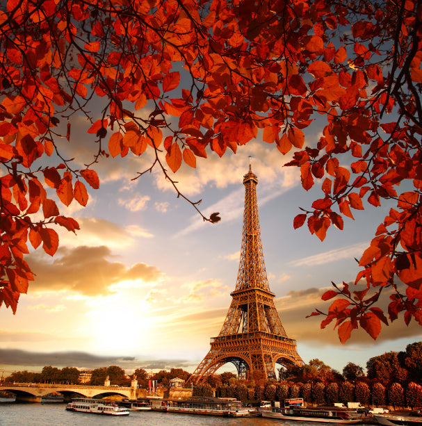 Eiffel Tower autumn leaves wallpaper mural with vibrant orange and gold foliage.