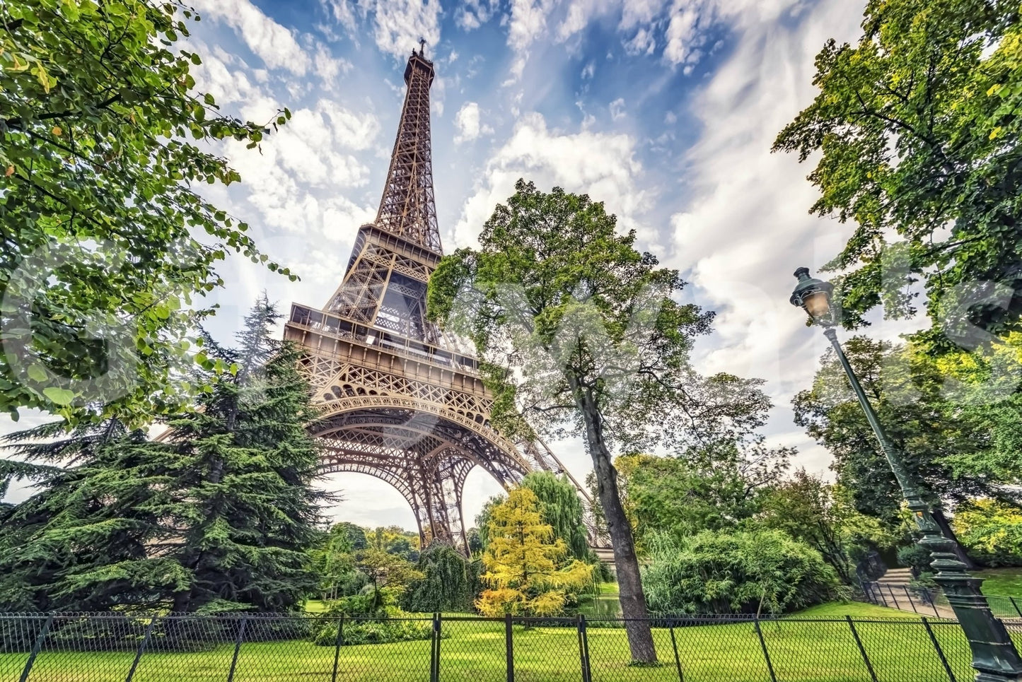 Eiffel Tower Greens wallpaper mural shown as a full-wall view of the Eiffel Tower rising above a leafy green park