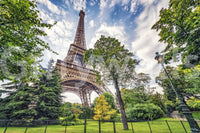 Eiffel Tower Greens wallpaper mural shown as a full-wall view of the Eiffel Tower rising above a leafy green park