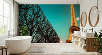 Towards Tower Mural Famous French structure towering over the avenue wallpaper.