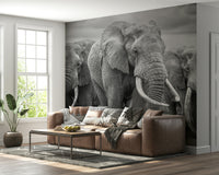 Wall mural with a majestic elephant captured in realistic, lifelike detail.